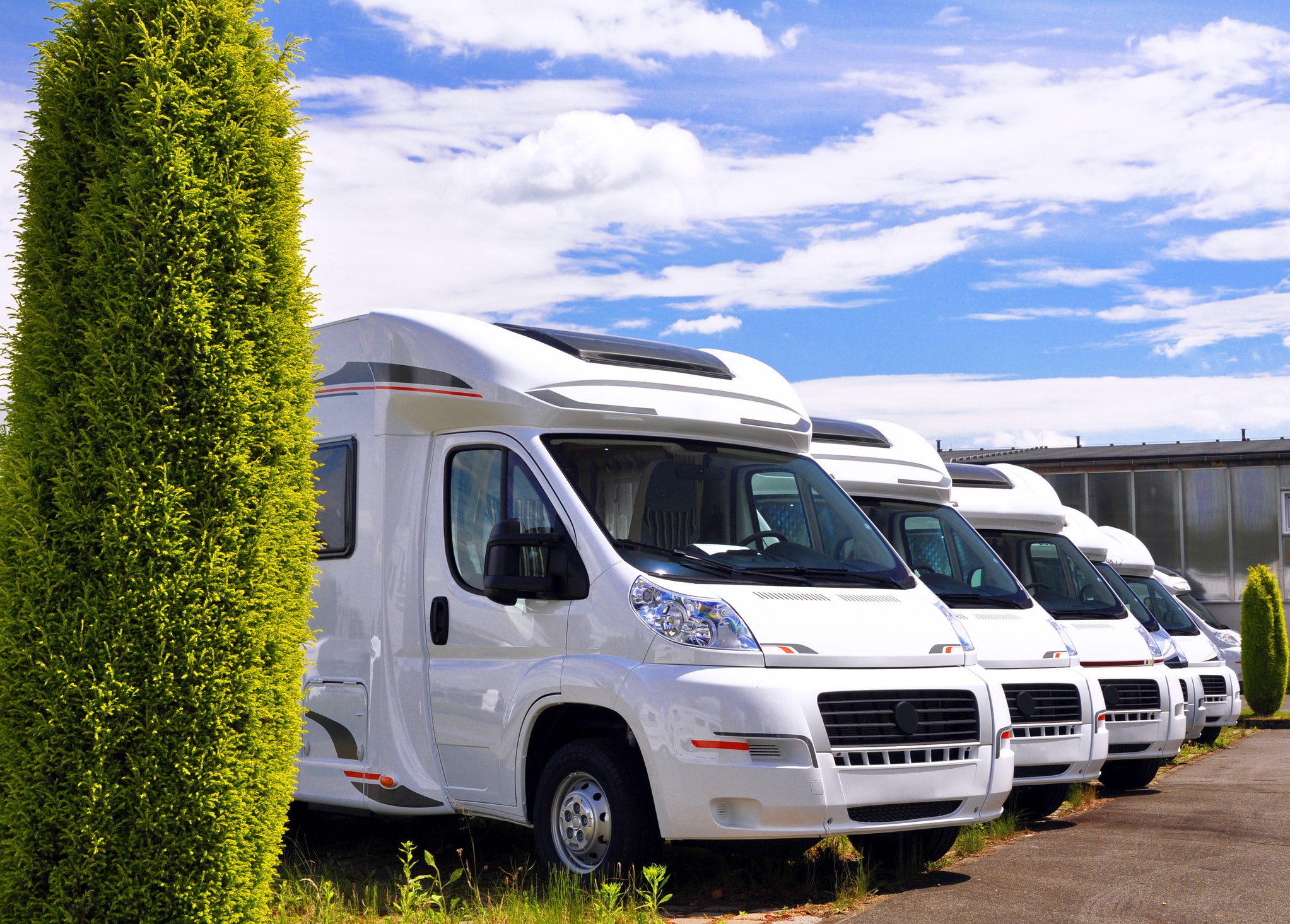 A row of white RVs parked.