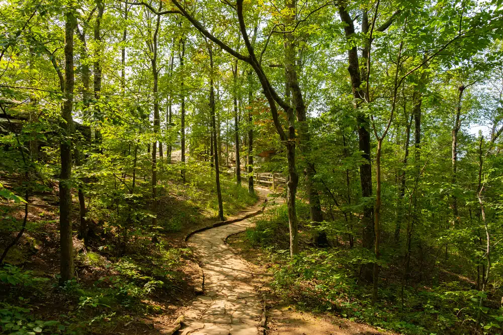 A scenic path through a wooded area in Illinois, with trees in the background.