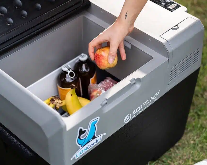 A person holding a LionCooler Pro, a portable freezer powered by battery and solar energy, with fruit inside.
