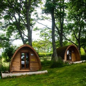 Two wooden cabins in the middle of a wooded area.
