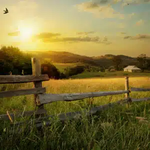 A Virginia Farm with a wooden fence in the middle of a field.