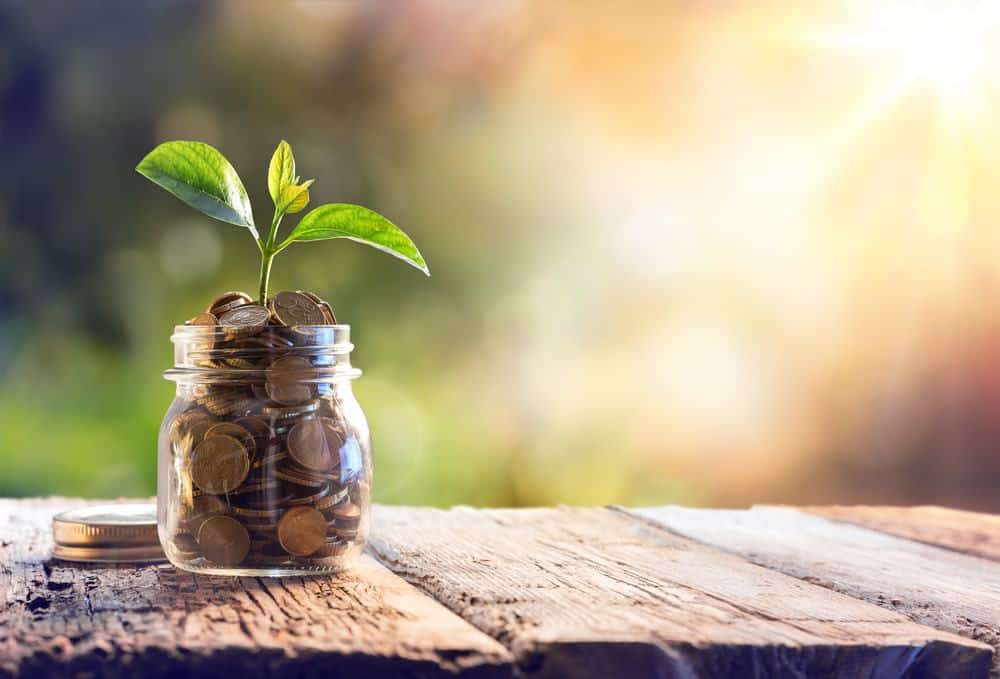 A jar of coins with a plant growing out of it, showcasing the Interior Department's FY 2021 Disbursements.