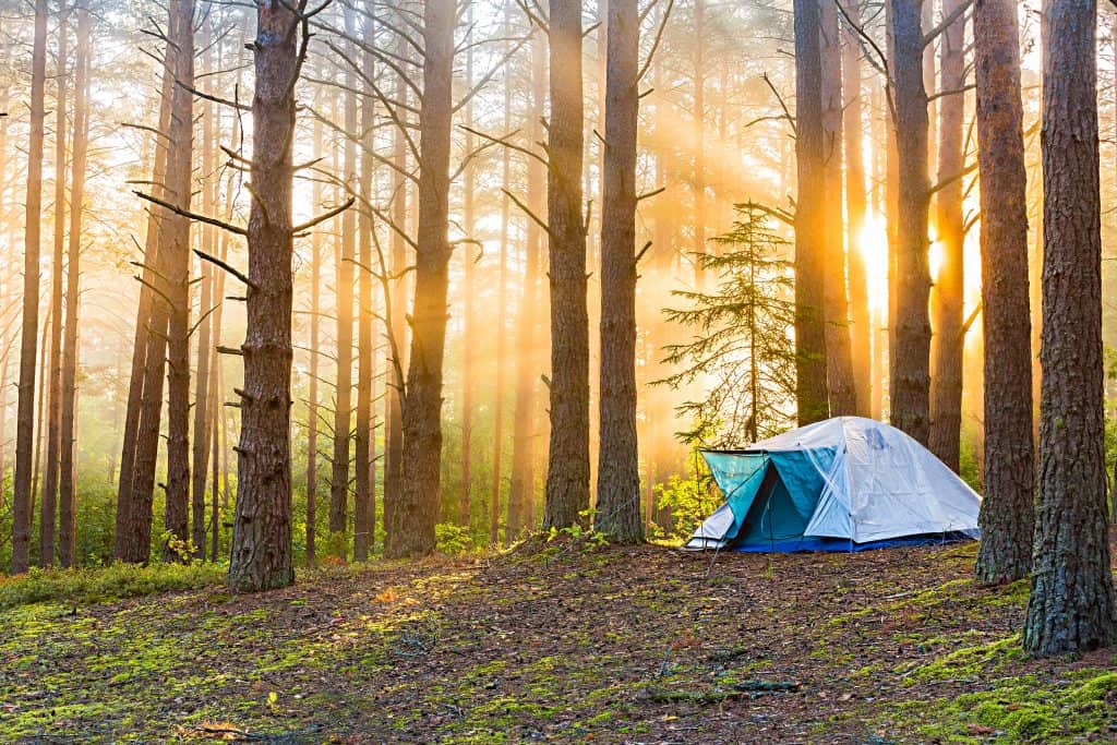 A tent in a forest with sun rays shining through the trees provides a serene and peaceful escape for those seeking solace amidst the pandemic. Its location in nature's embrace caters to the growing