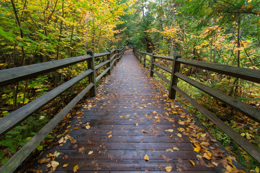 A wooden walkway through a wooded area with autumn leaves, funded by the Natural Resources Trust Fund Board and supported by the Michigan Governor.