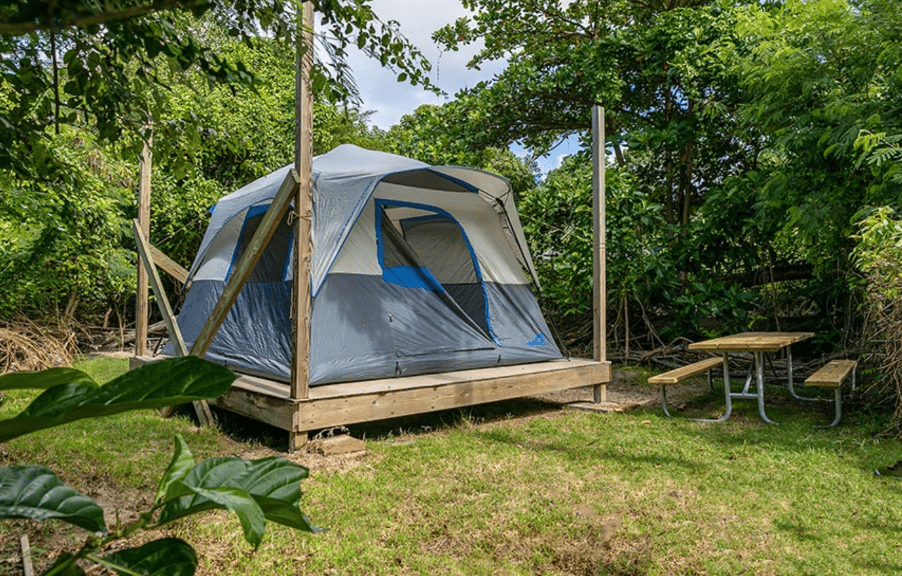 The Cinnamon Bay Campground reopens amidst hurricane devastation with a tent sitting in the middle of a grassy area.