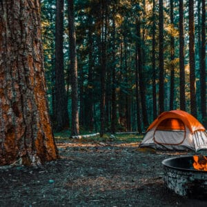 South Dakota Governor's $10M Campground Plan includes a tent set up in the woods with a fire pit, catering to groups.