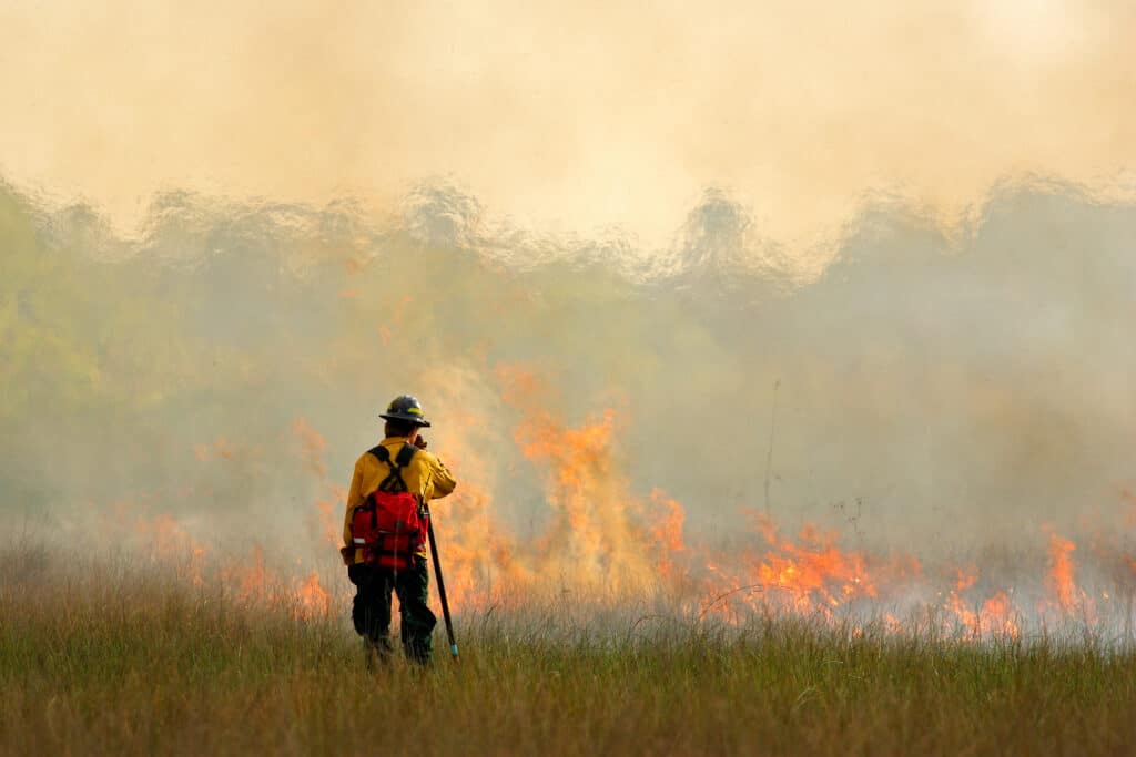 A firefighter is standing in a grassy field, diligently monitoring the US Wildfires.