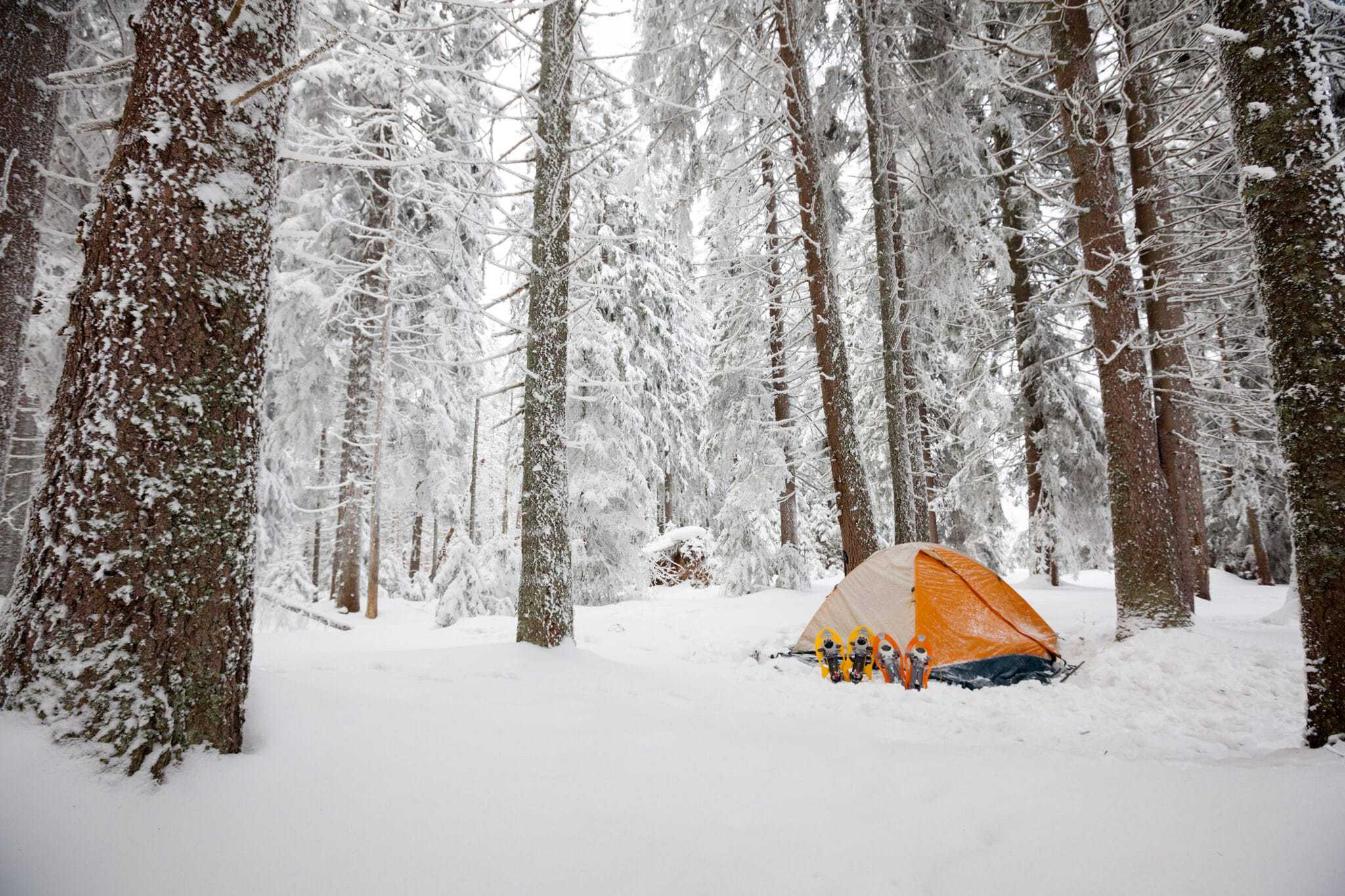 Amid the pandemic, a winter camping adventure awaits as a cozy tent is set up in a snowy forest. Explore the serene beauty of nature and indulge in a rejuvenating escape with Dyrt.