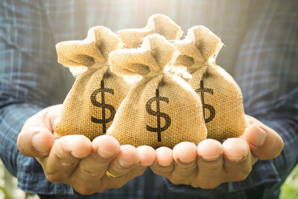 A man holding money bags with dollar signs in his hands.