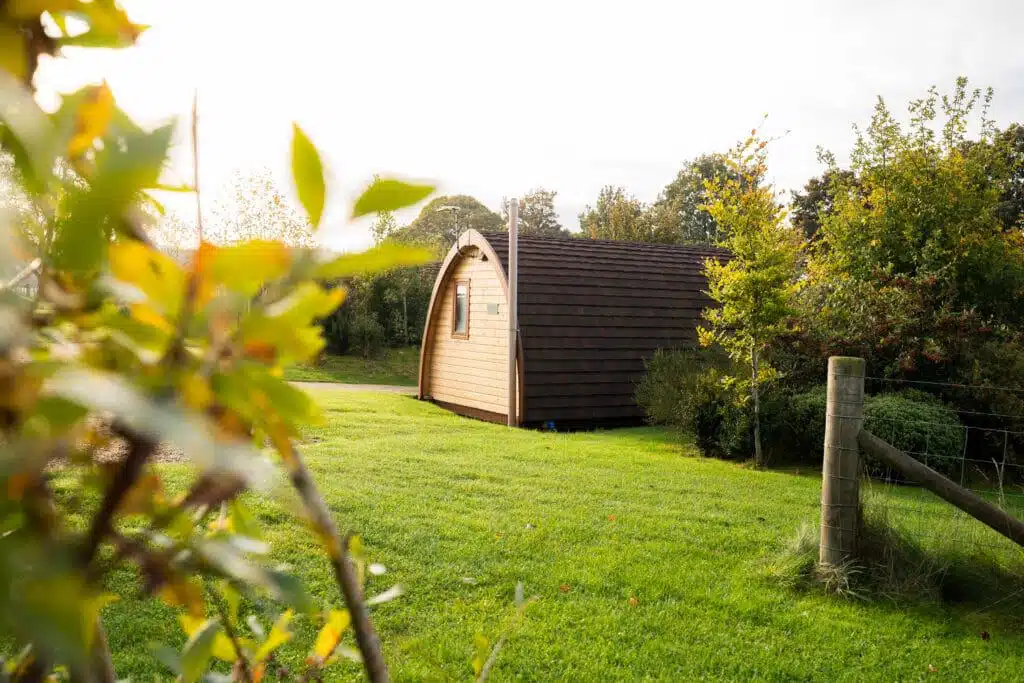 A wooden cabin in a grassy area.