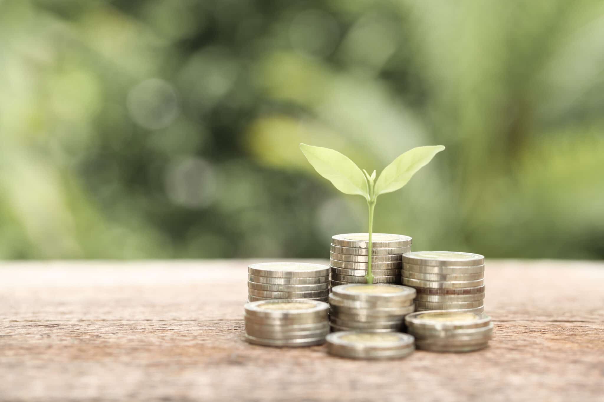 A stack of coins with a plant growing out of them, symbolizing the funding support provided by Wainwright for outdoor recreation projects.