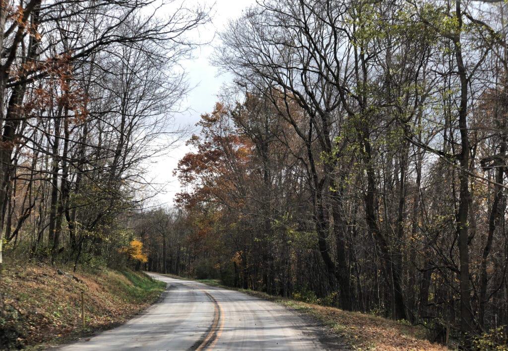 A road in Allegany County with trees in the background.