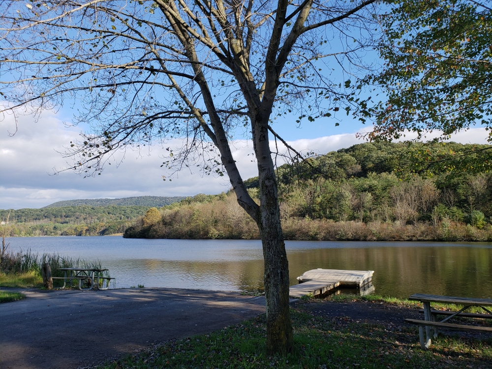 A tranquil lake surrounded by trees, featuring a sturdy dock for visitor enjoyment.