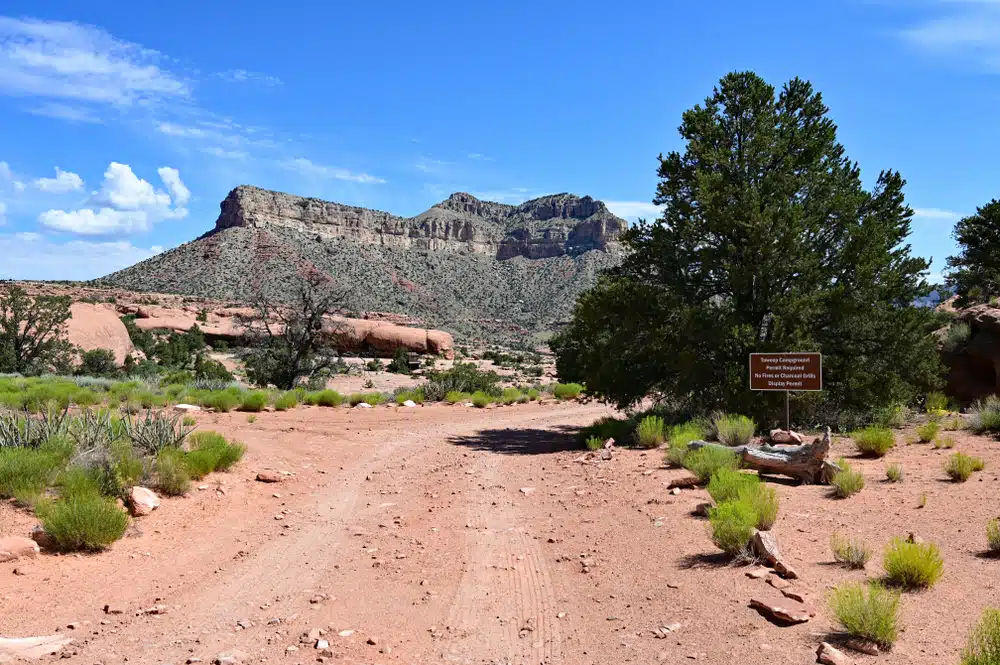 A desert road with a sign in the middle, accepting comments on proposed Tuweep day-use tickets within Grand Canyon National Park.