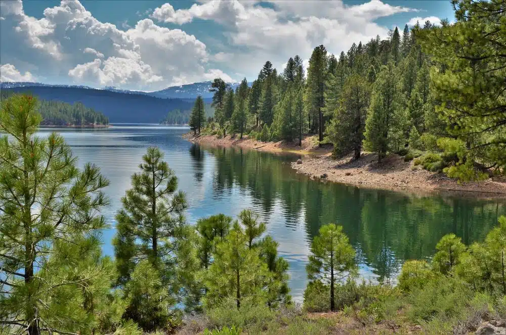 A lake surrounded by pine trees in the Tahoe National Forest, offering camping equipment rentals for business interests.