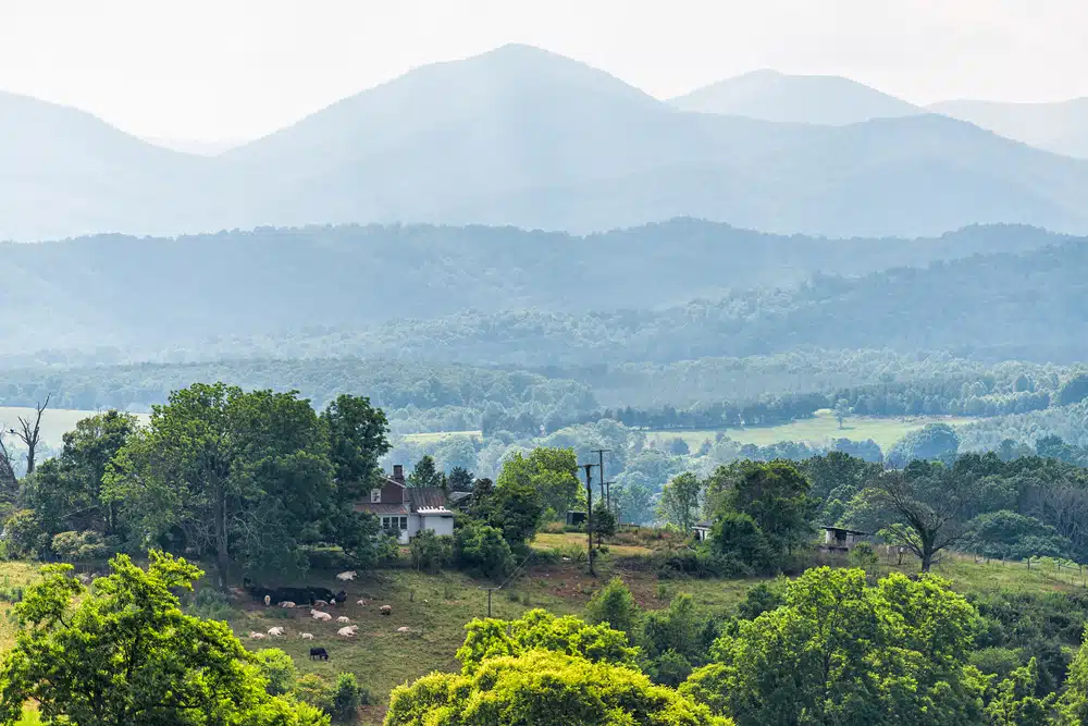 A green field with trees in Nelson County, with mountains in the background.