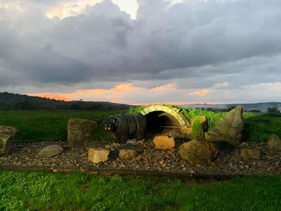 A cannon sitting on a grassy field at sunset near Teddy Bear Campground.