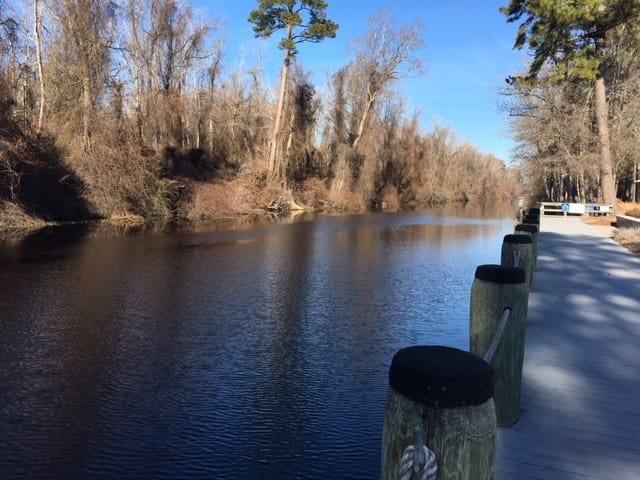 Dismal Swamp State Park reopens a dock on a river with trees in the background after construction delays.