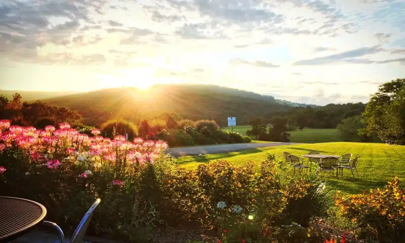 The sun is setting over a grassy field with flowers in Virginia - an ideal scene for the "Tourism Campaign".