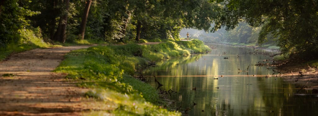 A river running through a forest with trees in the background, located in Maryland's state parks.
