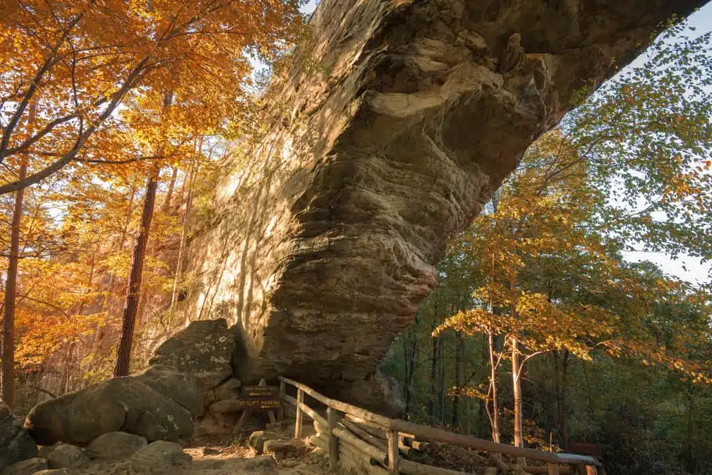 A flood-damaged rock formation in the woods with a wooden walkway.