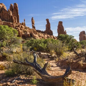 Arches National Park in Utah offers a breathtaking natural landscape, known for its iconic rock formations and stunning vistas. Explore the majestic beauty of Klondike Bluffs Campground, a secluded camping site within