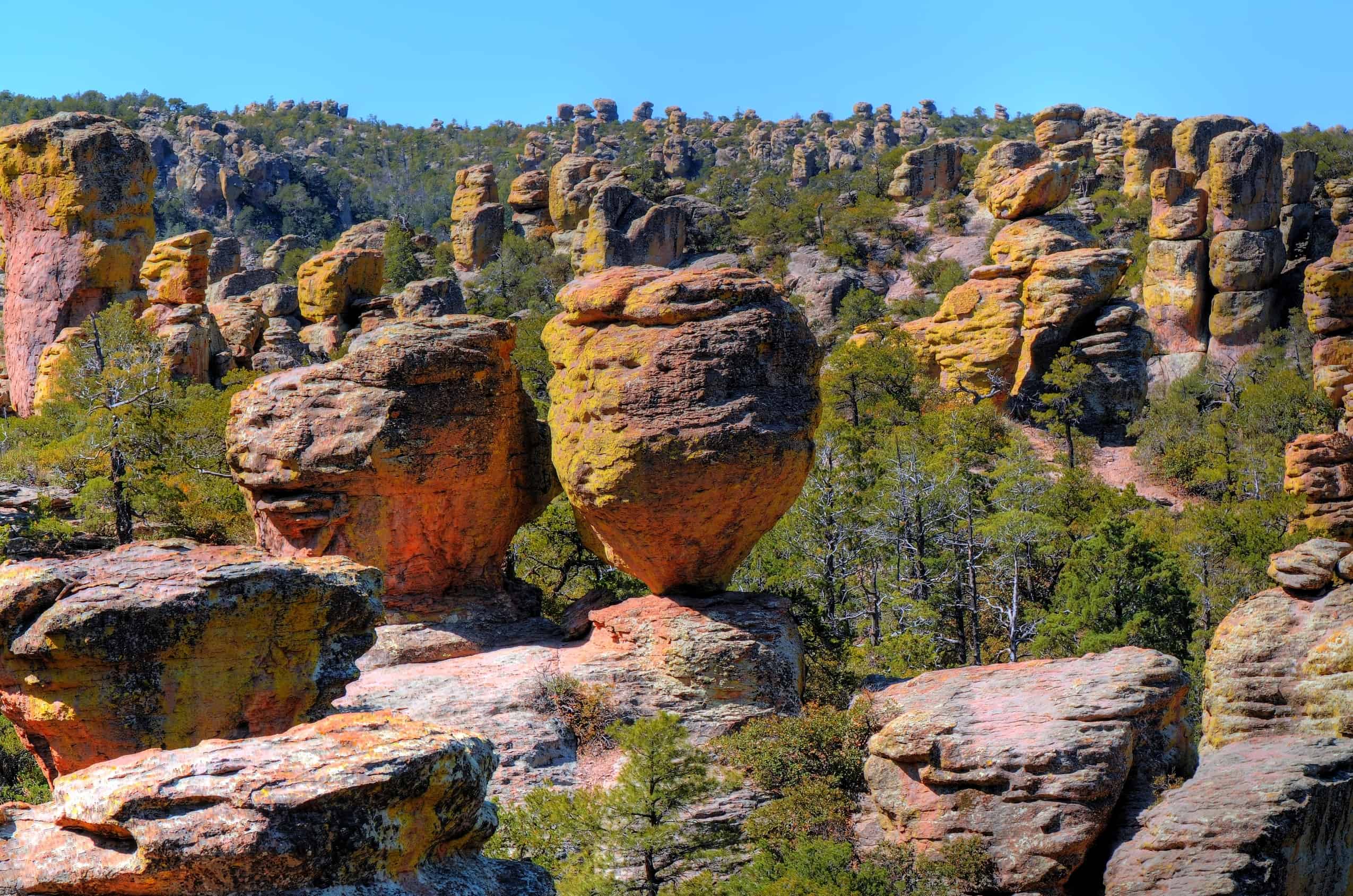 A group of rock formations in a National Park forest.