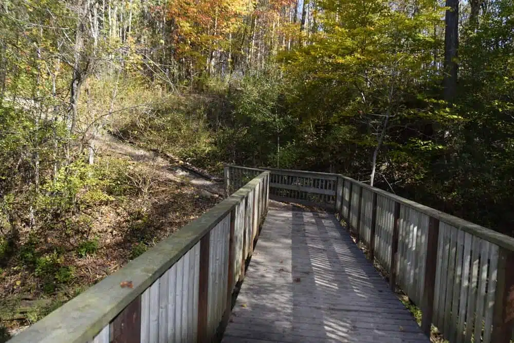 Een houten loopbrug die leidt naar een bosrijk gebied nabij de campings van de Long Point Conservation Authority, die zondag wordt geopend.