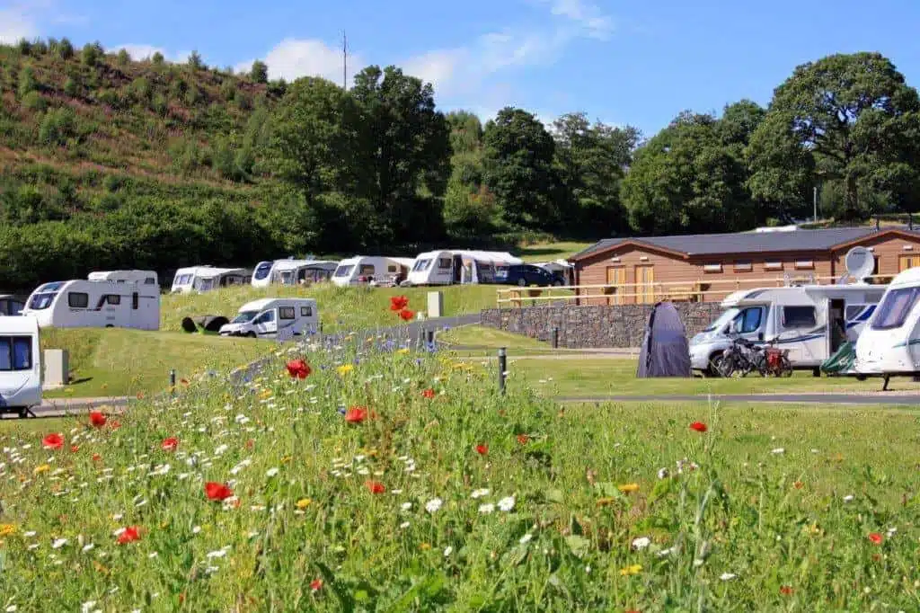 A caravan park in Wales, featuring a group of RVs parked amidst a picturesque field adorned with flowers.