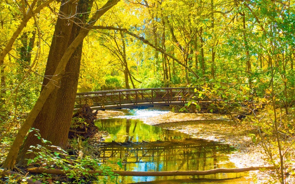 A bridge over a stream in Hamilton County.