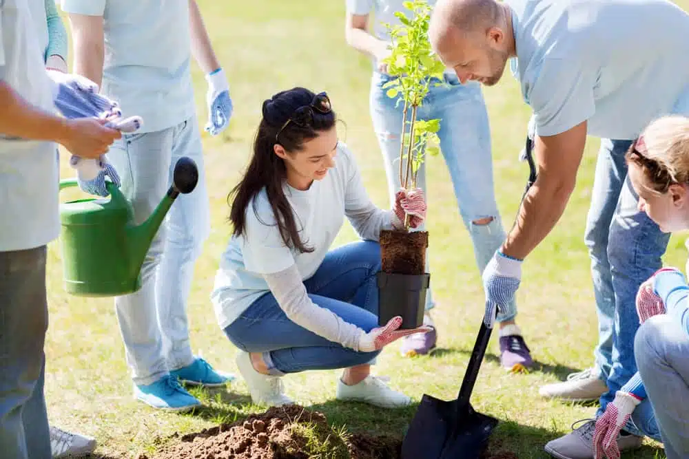 A group of people participating in the Volunteer Restoration Project by planting a tree in Potato Creek State Park.