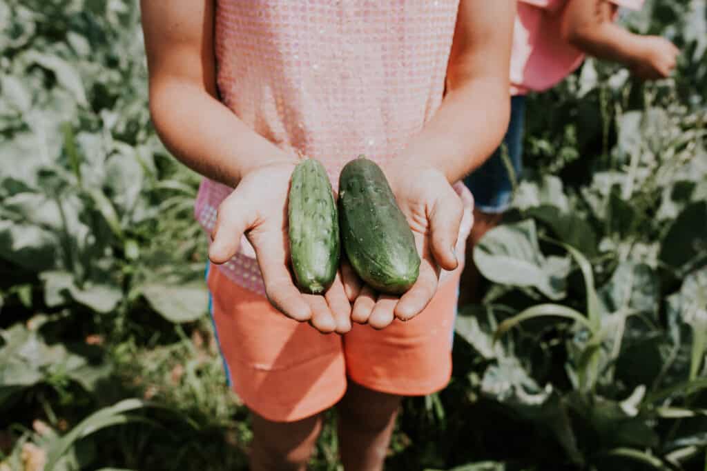 A girl holding two cucumbers, demonstrating her commitment to protecting the ecosystem services.