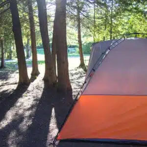 A busy campground in the woods of Michigan.