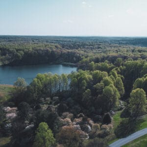 An aerial view of a popular State Park in Maryland, showcasing a serene forest and a picturesque lake.