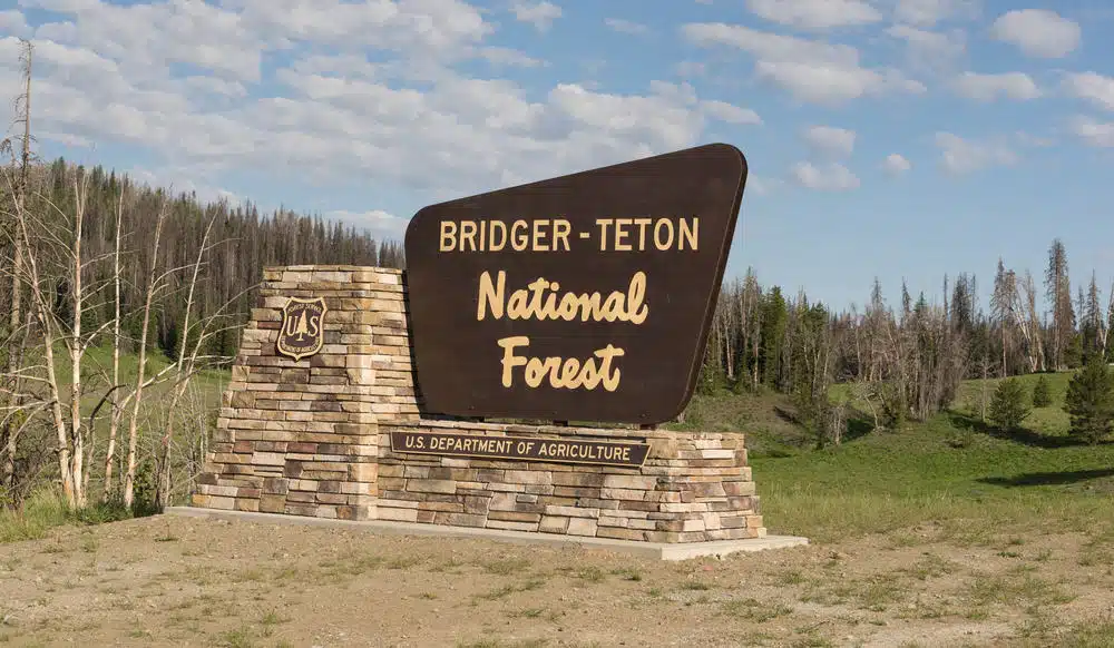 Crystal Creek Campground in Bridger-Teton National Forest is temporarily closed due to downed trees.