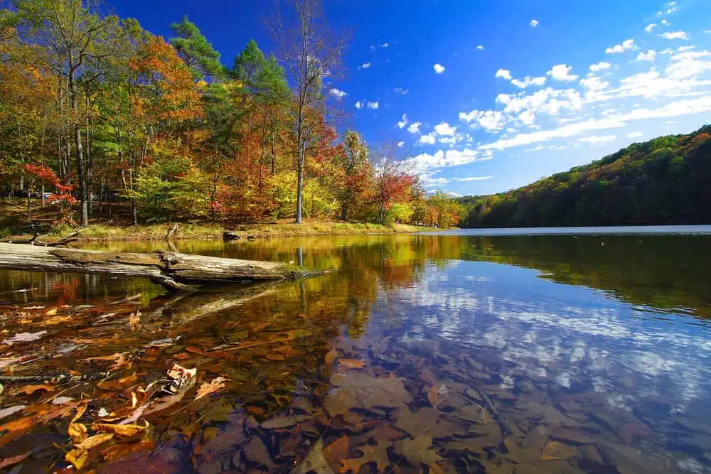 An Indiana State Park with a lake surrounded by trees and autumn leaves.