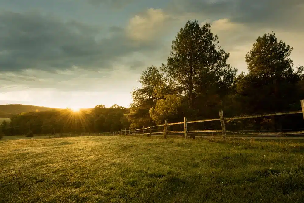 The sun is setting over a grassy field with a fence, providing a serene view for farm owners in New York.