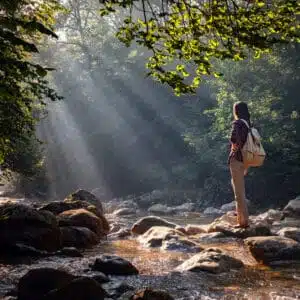 A woman is standing on rocks in a forest stream.