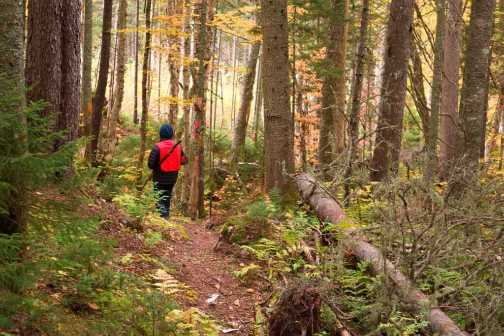 A person walking through a forest in Sarnia-Lambton wearing a red jacket.