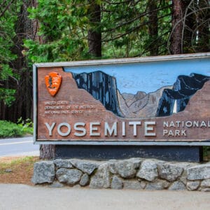 Yosemite national park in California is known for its majestic landscape and the iconic Giant Sequoia Trees. Visitors can explore stunning waterfalls, granite cliffs, and vast wilderness areas. However, precautions must