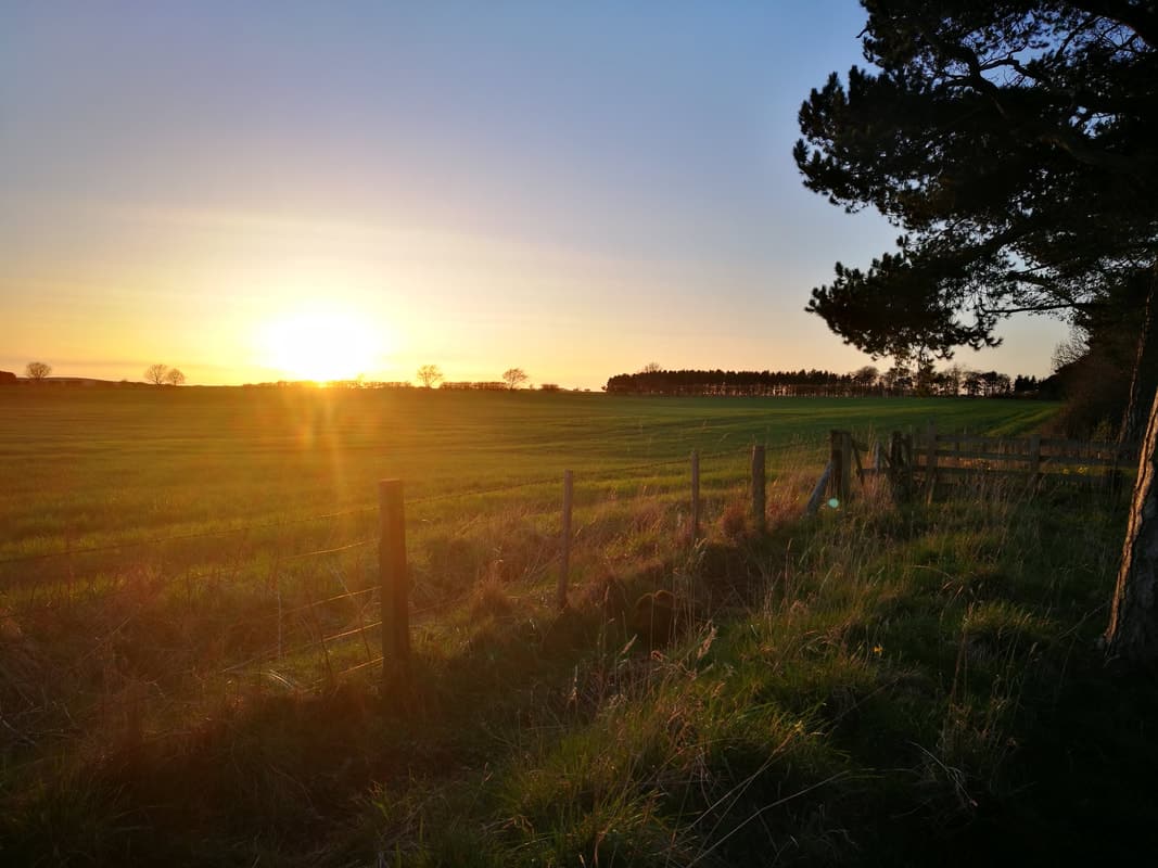 The sun is setting over a field with trees and a fence, creating a picturesque Northumberland scene perfect for a relaxing glamping getaway.