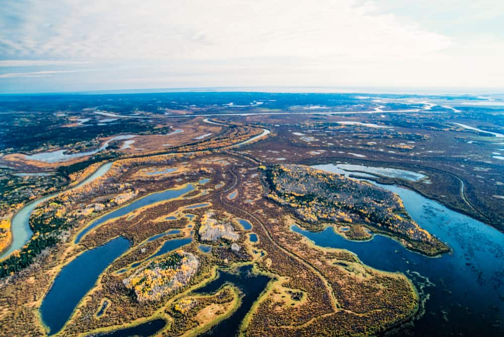 An aerial view of the marshes in Wood Buffalo National Park.