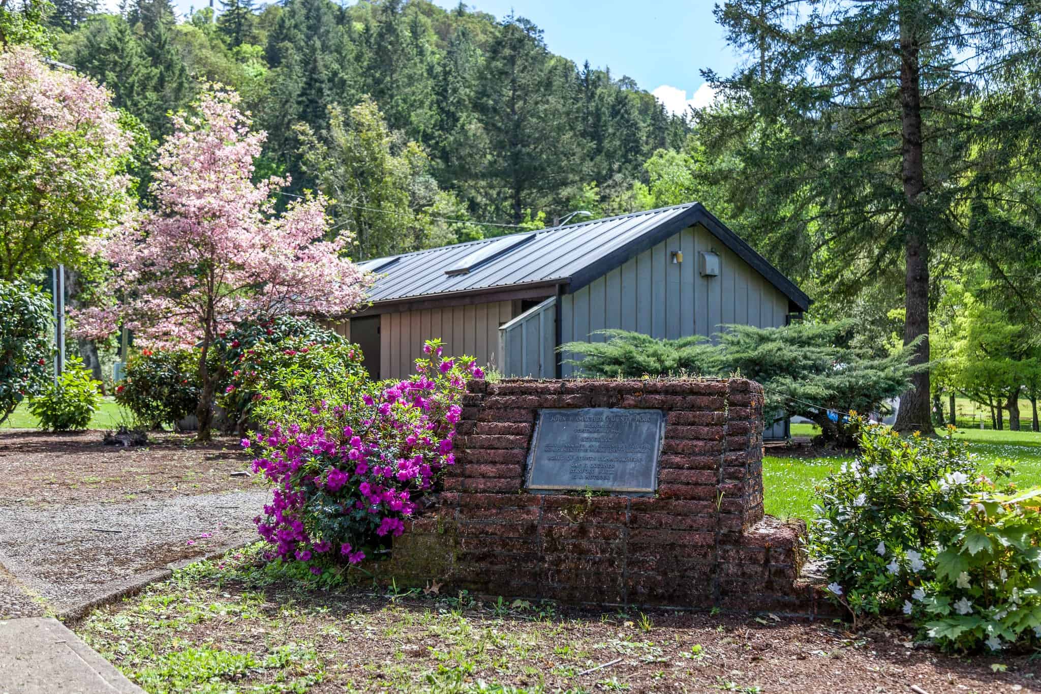 A temporarily closed campground in Amacher County Park, nestled in the woods, with a sign in front.