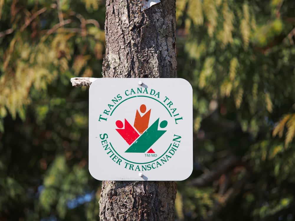 A sign on a tree indicating the Trans Canada Trail, with a red and white logo.