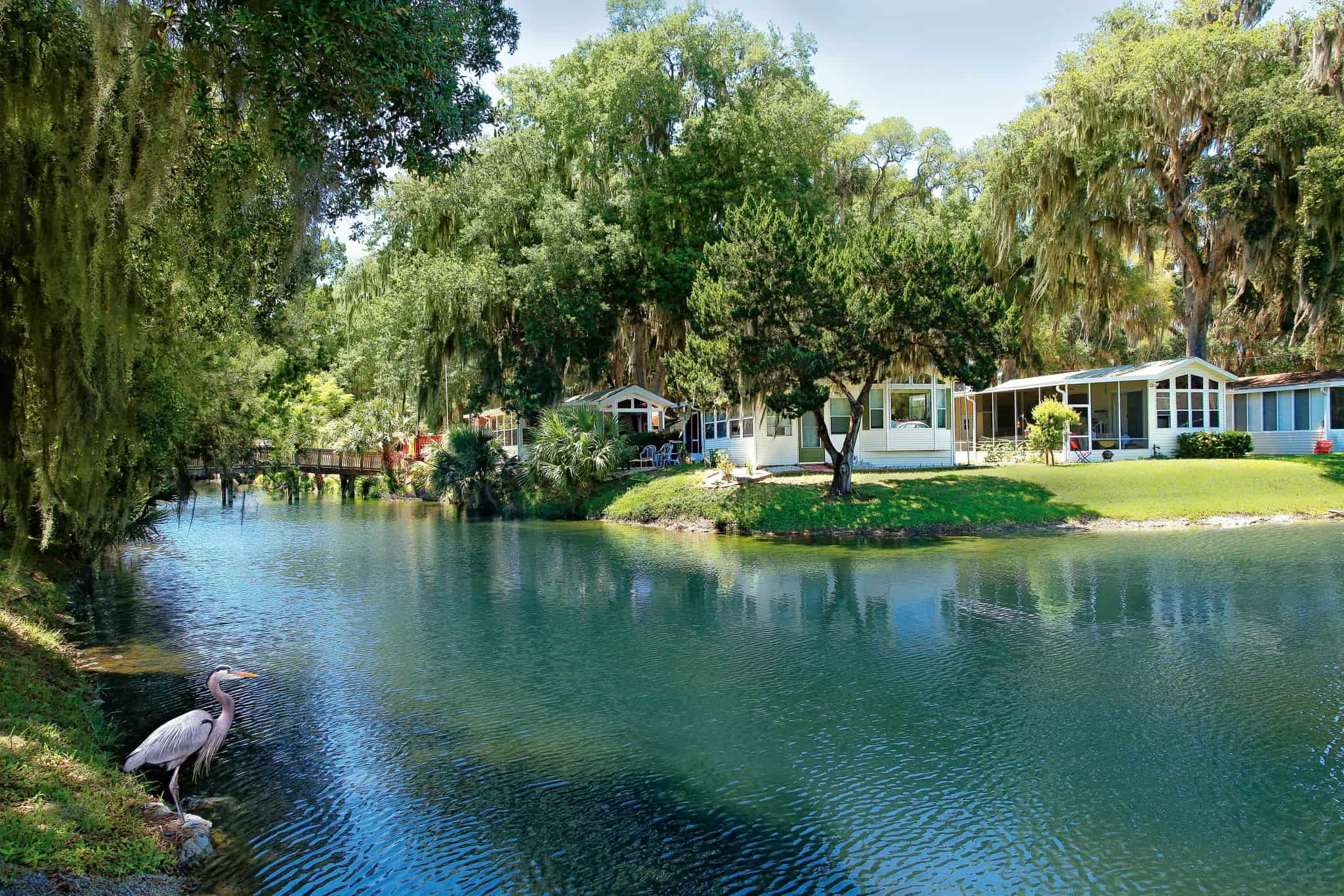 A small lake with houses and a pelican on it, surrounded by RV Parks and Resorts advertised on Campflorida.com.