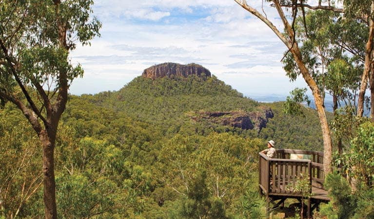 A man is standing on a wooden walkway overlooking the Bark Hut Campground.