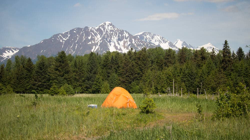 A campground tent in the middle of a grassy field with mountains in the background, perfect for experiencing Alaska's natural beauty.