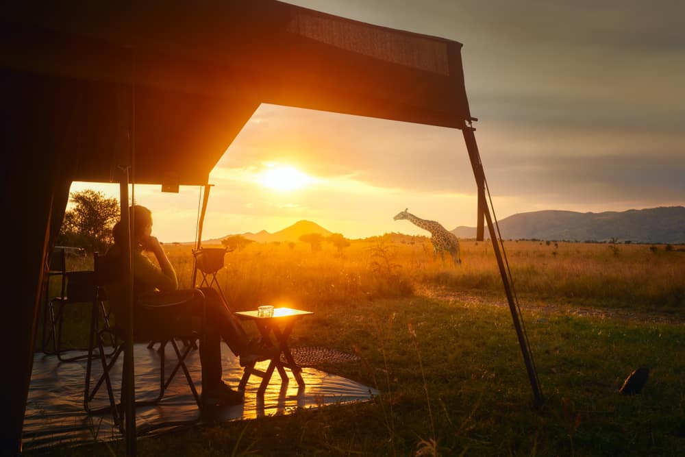 A woman sits at a table in Oakwood Valley Lodges, enjoying the year-round use of a tent while overlooking a giraffe.