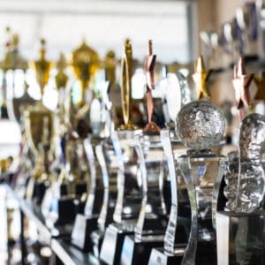 Many COHCE Award trophies are lined up on a shelf in a store.
