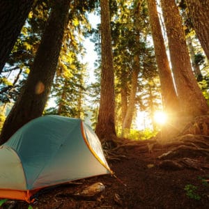 A LeadingCampings tent pitched in the woods while camping in Europe, with the sun setting behind it.